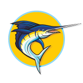 Big Fish NW Talent logo